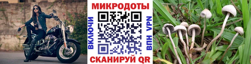 наркошоп  Бородино  Псилоцибиновые грибы Cubensis 